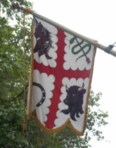 RCVS Flag displaying the arms